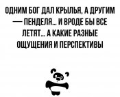 52598413_608443566262746_1465523840183435264_n.jpg