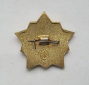 Воин - спортсмен = 2 степень = на заколке = СФС