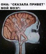 47859C95-03B5-4D9E-8BAF-767BE3A22C61.jpeg