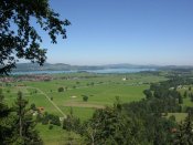 IMG_5256.jpg
