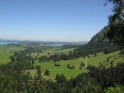 IMG_5259.jpg