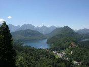 IMG_5273.jpg