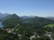 IMG_5274.jpg