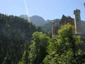 IMG_5263.jpg