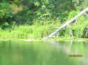 IMG_0325.jpg
