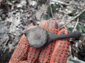 20190228_124936.jpg