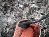 20190228_124943.jpg