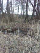 IMG_20190301_144939.jpg