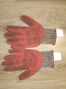 IMG_20190301_105952.jpg