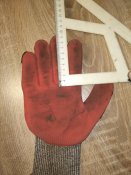 IMG_20190302_185236.jpg