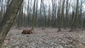 IMG_20190303_163903.jpg