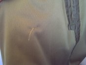 IMG-20190304-43253.jpg