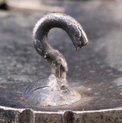 WsilverCatch.jpg