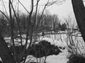 20190302_114248.jpg
