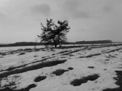 20190302_114726.jpg