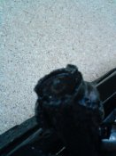 DSC00563.jpg