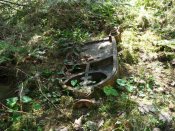 DSC00585.jpg