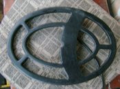 DSC02340.jpg