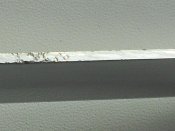 RSCN7313.JPG