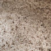 IMG_20190307_170757.jpg