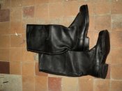 DSC03276.jpg