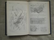 Книга по ЗОМП (7).JPG