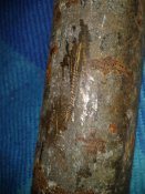 Гильза немец 3,7 cm Pak