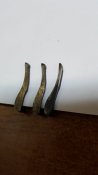 20190308_094759.jpg