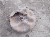 DSCN2473.JPG