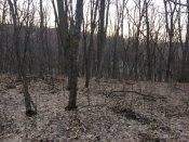 IMG_2398.JPG