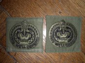 DSCN8536.JPG