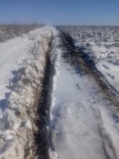 20190222_125536.jpg