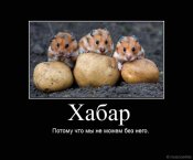 пионеры.jpg