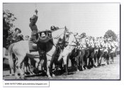wehrmacht-german-soldiers-ww2-second-world-war-SS-cavalry-division.jpg