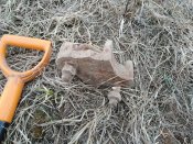 IMG_20190309_143858.jpg