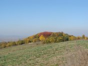 DSC07382.JPG