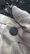 20190310_155219.jpg