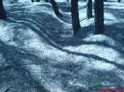 DSC00809.JPG