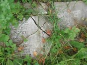 DSCF2842.jpg