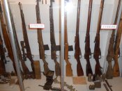 DSCN0084_новый размер.jpg