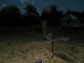 DSCN5477.jpg