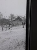 20190312_065725.jpg