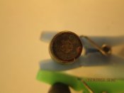 IMG_3331sm.jpg