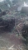IMG_20190312_090040.jpg
