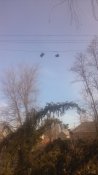 IMG_20190312_092244.jpg