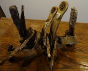 DSC06315.JPG
