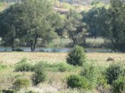 IMG_1192.JPG