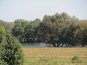 IMG_1193.JPG