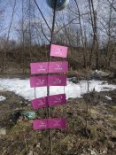 IMG_20190216_124720.jpg