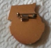 знак инструктор ДОСААФ